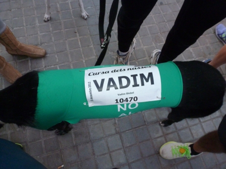 Vadim, corredor oficial de Cursa dels Nassos 2012