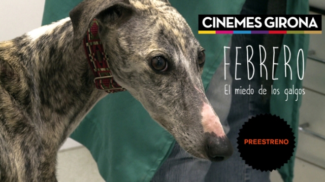 Cartel de Febrero, un documental sobre la situación del galgo español